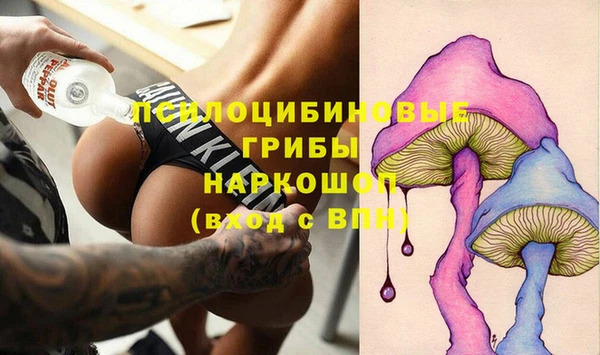 таблы Снежногорск