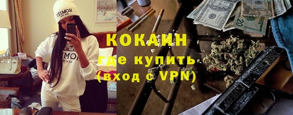 шишки Баксан