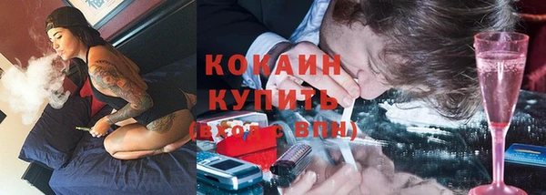 таблы Снежногорск