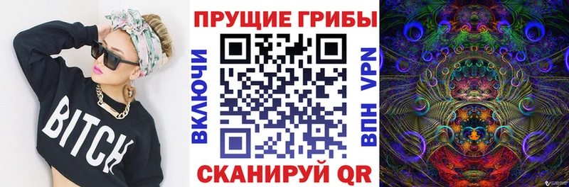 Псилоцибиновые грибы Psilocybine cubensis  Шали 